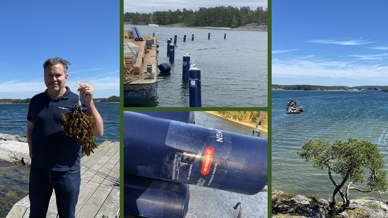 Iläggning av bojar collage